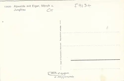 Alpweide mit Eiger, Mönch und Jungfrau ngl F9234