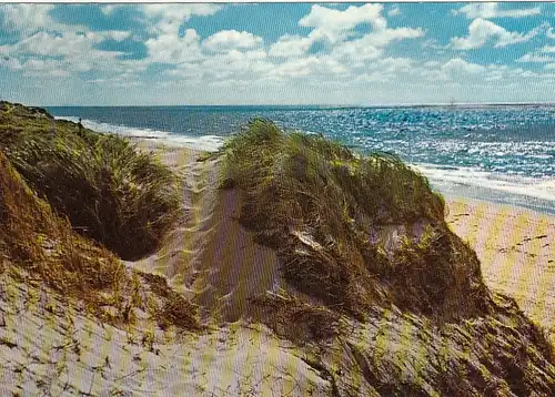 Nordseebad Norderney, in den Dünen gl1971 G2719