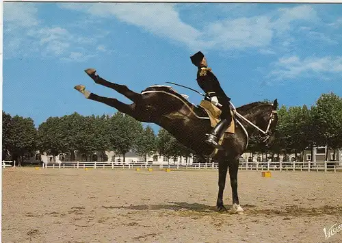 Saumur (Maine-et-Loire) Le Cadre Noir, Croupade ngl G4638