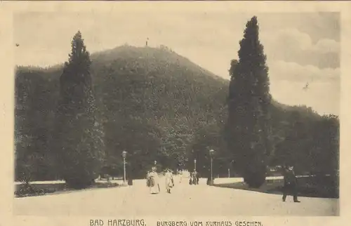 Bad Harzburg, Burgberg vom Kurhaus gesehen ngl G2152