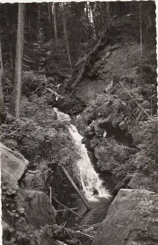 Bonndorf, Schwarzwald, Die Lothenbach Klamm ngl G1615