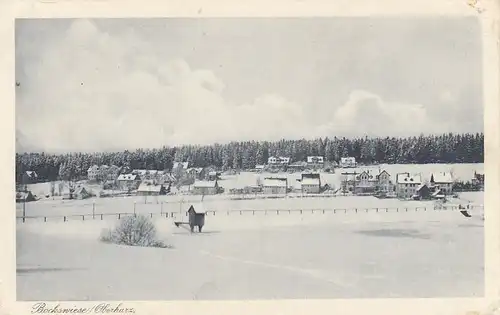 Bockswiese, Oberharz, Panorama ngl G2176