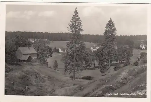 Blick auf Bockswiese, Harz ngl G2204