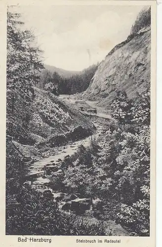 Bad Harzburg, Steinbruch im Radautal gl1936 G2262