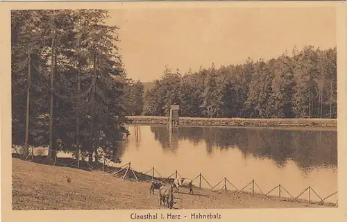 Clausthal im Harz, Hahnebalz gl1916 G2367