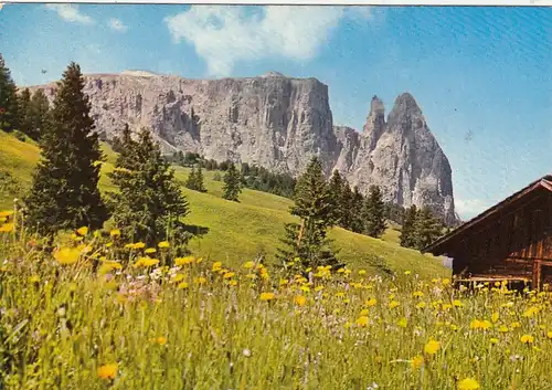 Dolomiti, Alpe di Siusi verso la Sciliar ngl G0532