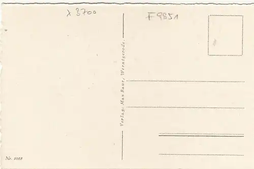 Wernigerode, Steinerne Renne, Wasserfall ngl F9851