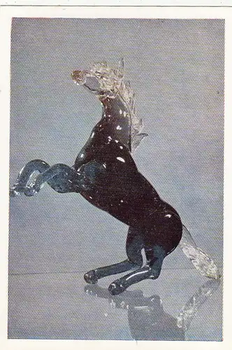 Mexico, Caballo de vidrio fundido, México, D.F. ngl G5072