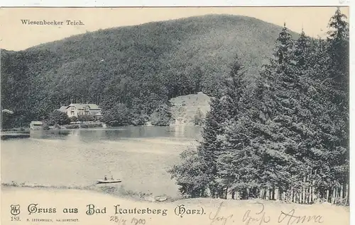 Bad Lauterberg im Harz, Wiesenbeeker Teich gl1900 G2539