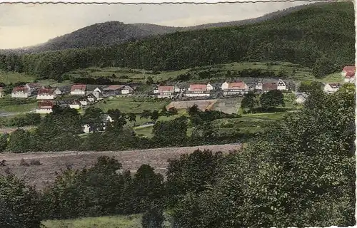 Zorge, Südharz, Uhdenbergsiedlung gl1964 G2548