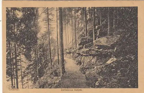 Okertal, Harz, Zerfallenes Schloß ngl G2136