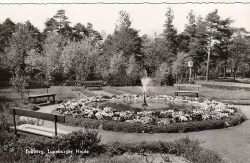 Faßberg, Lüneburger Heide gl1967 F9968