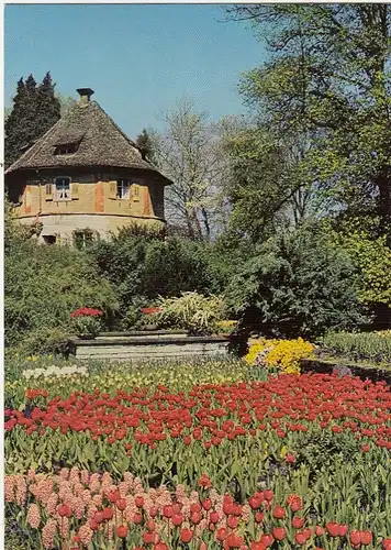 Insel Mainau im Bodensee, Tulpen am alten Wehrturm ngl G3722