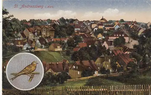 St.Andreasberg/Oberharz, Panorama und Sittich ngl G2555