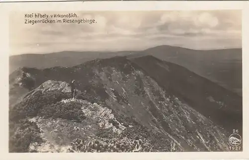 Riesengebirge, Ziegenrücken ngl G0412