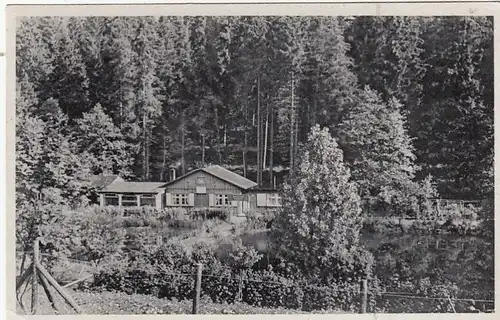 Braunlage/Oberharz, Wald-Wirtschaft "Forellenteich gl1947 G5783