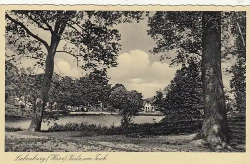 Liebenburg (Harz) Partie am Teich gl1942? G2247