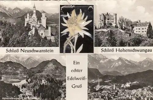 Schloss Neuschwanstein und Hohenschwangau, mit echtem Edelweiß ngl G4014