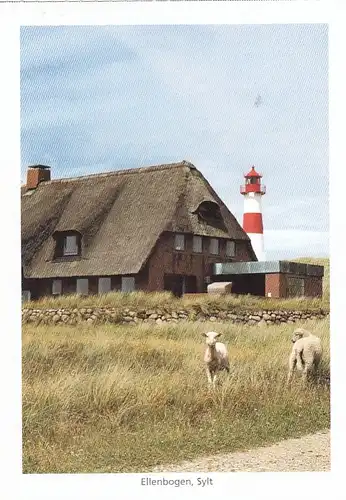 Nordsee-Insel Sylt, Ellenbogen ngl G0635