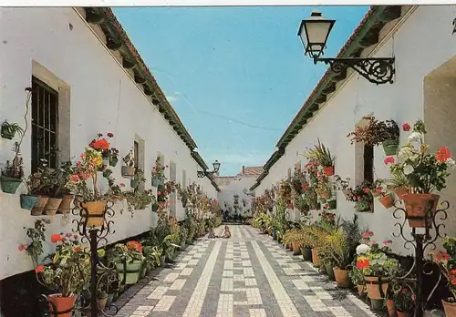 Malaga, Calle tipica ngl G0645