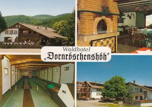 Edertal, Hamfurth, Edersee, Waldhotel Dornröschenshöh, Mehrbildkarte ngl G5960