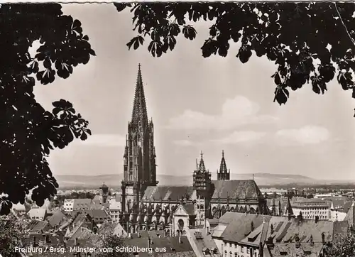 Freiburg i.Breisgau, Münster vom Schloßberg gl1960 G4221