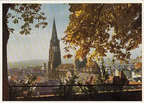 Freiburg i.Breisgau, Blick auf das Münster gl1955 G4231