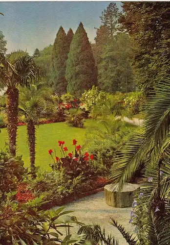 Insel Mainau im Bodensee, Blick vom Palmenhain in den Park ngl G0781