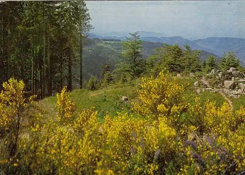 Schwarzwald-Hochstraße, Blick ins Rheintal gl1972 G4188