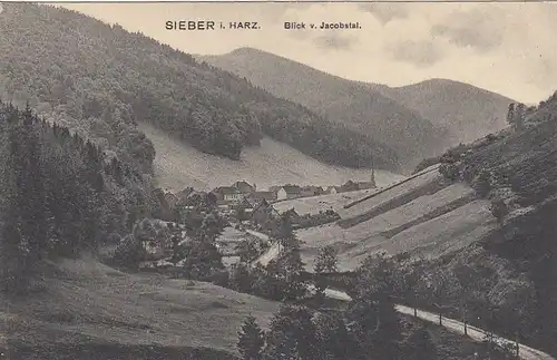 Sieber im Harz, Blick v.Jacobstal ngl G2513