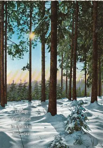 Prettige Kerstdagen en Gelukkig Nieuwjaar glum 1970? G1478