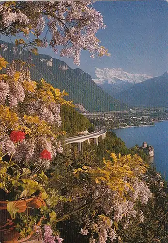 Château de Chillon et Dents du Midi ngl1908 G1521