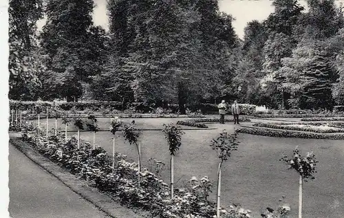 Bad Driburg, Kurpark, Rosengarten gl1960 G2689