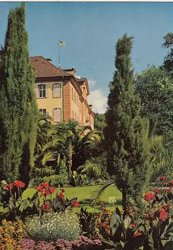 Insel Mainau im Bodensee, Palmenhain mit indischem Blumenrohr ngl G3723