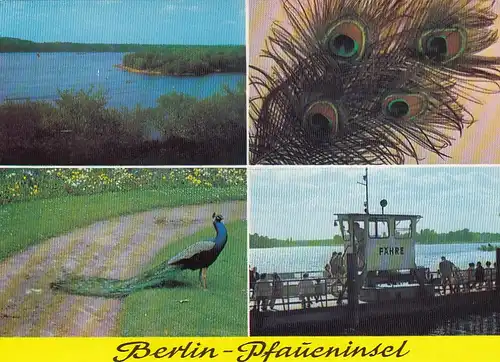 Berlin, Pfaueninsel, Mehrbildkarte ngl G4607
