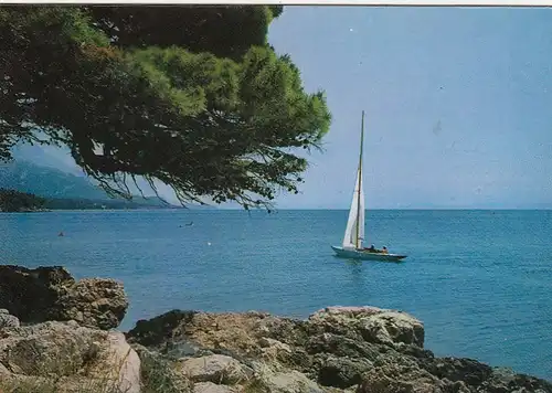 Motiv s Jadrana gl1966 G1194