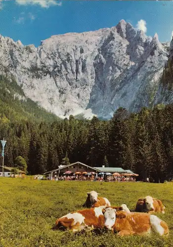 Scharitzkehl-Alm bei Berchtesgaden mit Hohem Göll gl1978 G6720