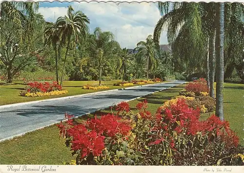 JA Kingston, The Royal Botanical Gardens at Hope gl1974 G3698