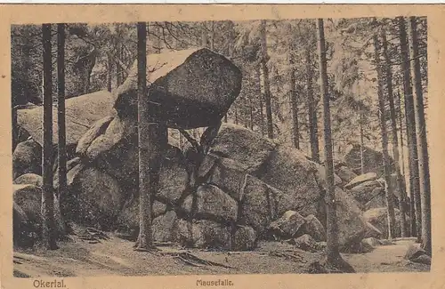 Okertal, Harz, Mausefalle ngl G2096