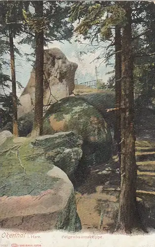 Okertal, Harz, Feigenbaumsklippe ngl G2117