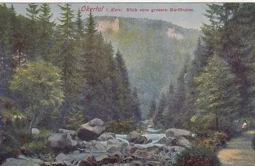 Okertal, Harz, Blick zum grossen Kurfürsten ngl G2137