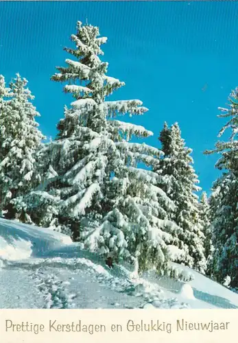 Prettige Kerstdagen en Gelukkig Nieuwjaar gl1970? G1483