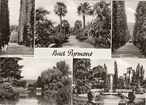 Bad Pyrmont, Kurpark, Mehrbildkarte gl1965 G3406