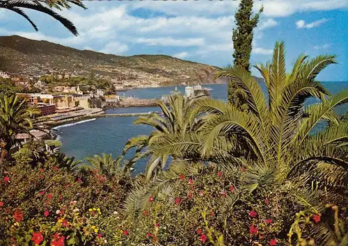 Funchal (Madeira) Vista Leste ngl G1538