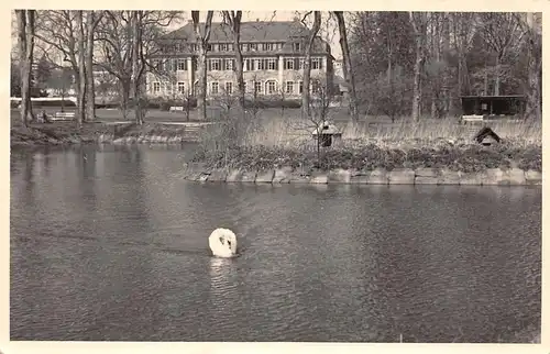 Werneuchen Uferpartie mit Schwan gl1959 168.113