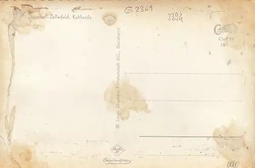 Clausthal-Zellerfeld, Oberharz, Kuhherde mit Hirt ngl G2369