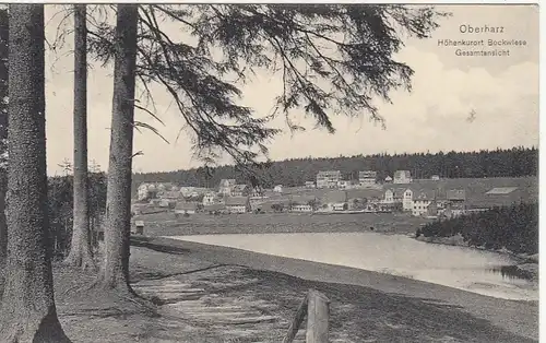 Bockwiese, Oberharz, Gesamtansicht gl1910 G2388