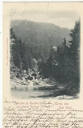 Gruß aus dem Harz, Partie im Okertal und grosser Kurfürst gl1899 G2418