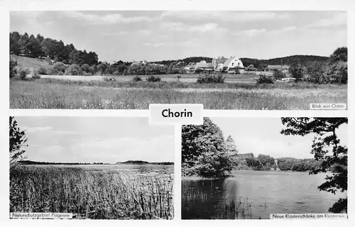 Chorin i.d. Mark Teilansichten Panorama gl1960 168.206