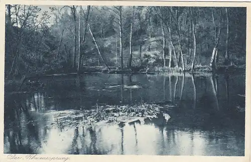 Rhumequelle nahe Rhumspringe ngl G2483